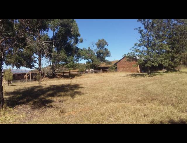 FARM FOR SALE IN LYDENBURG RURAL